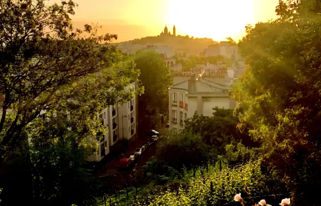 Balade urbaine : Des vignobles au cœur de Paris ?