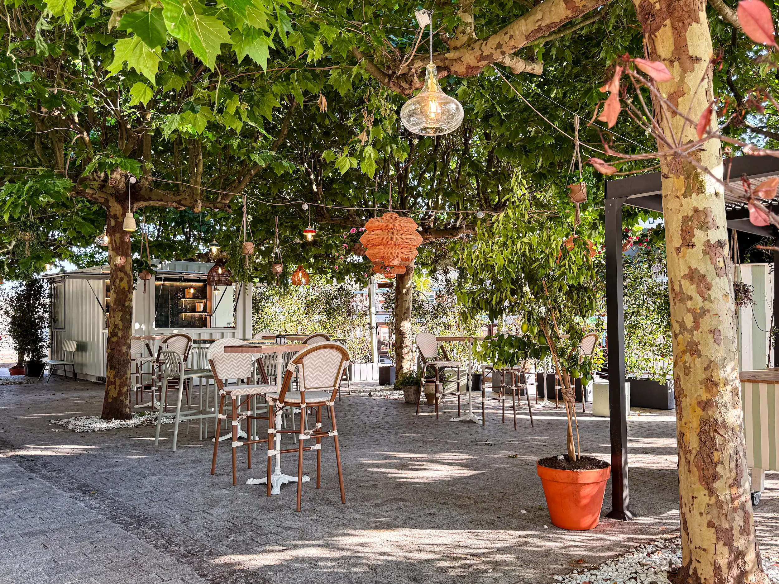 La Provencale 34