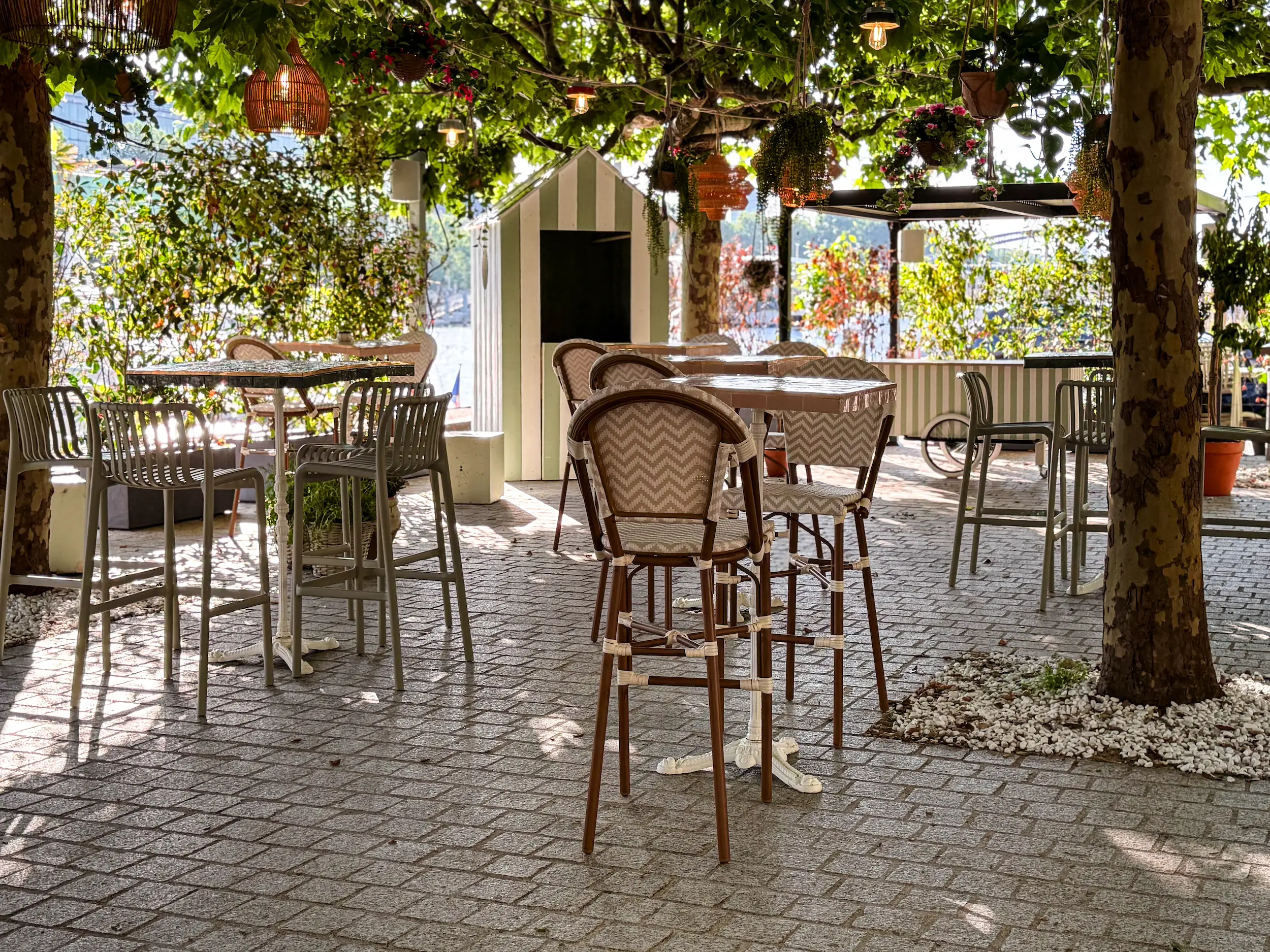 La Provencale 6