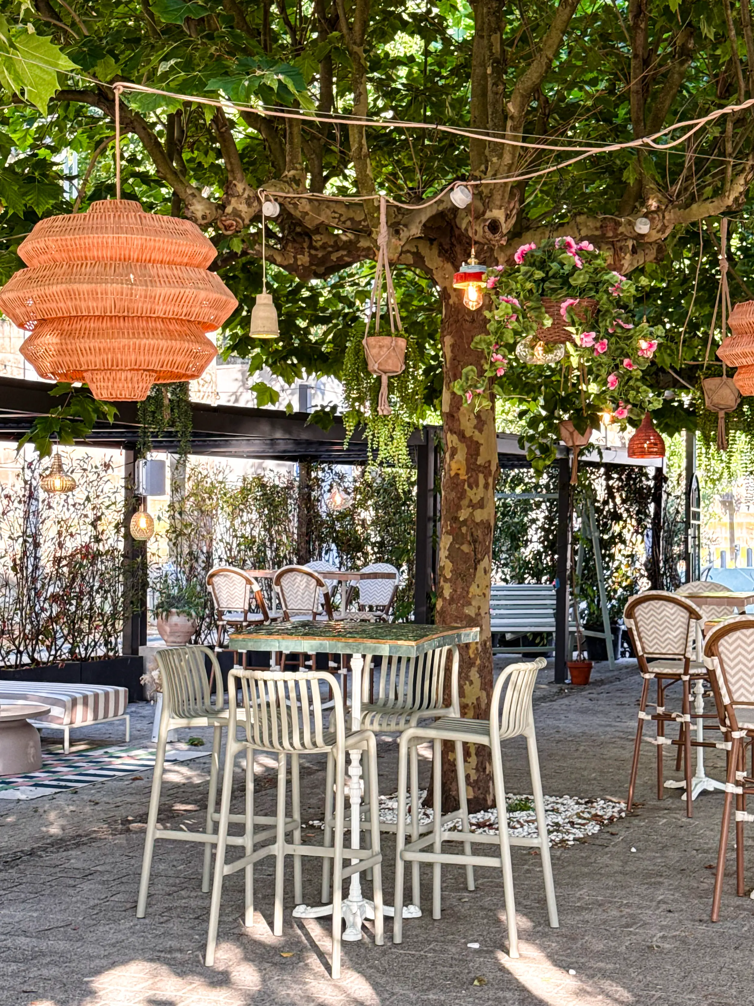 La Provencale 5