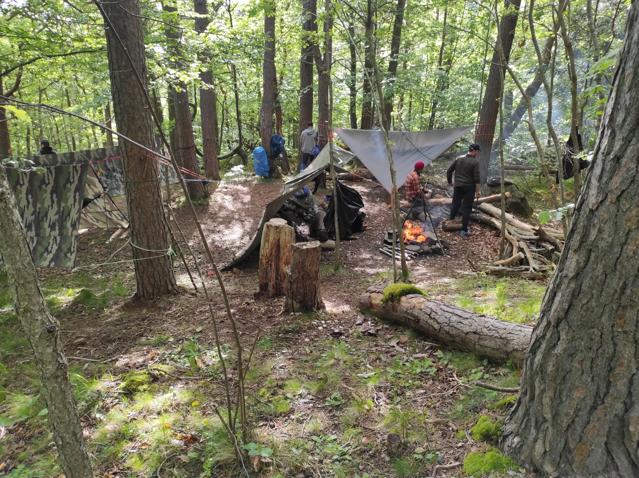 Stage de survie (7h)