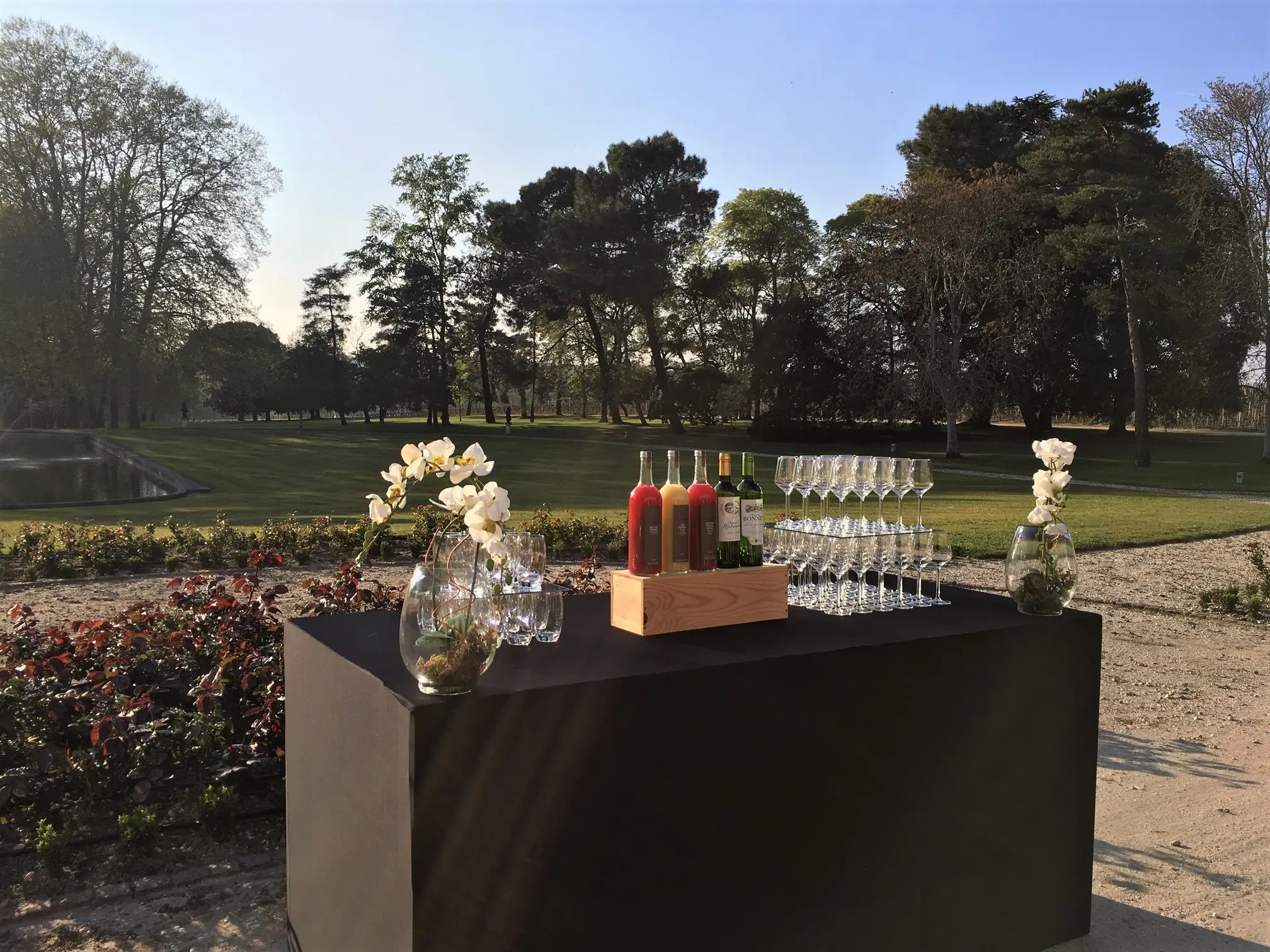 Château la Louvière 12