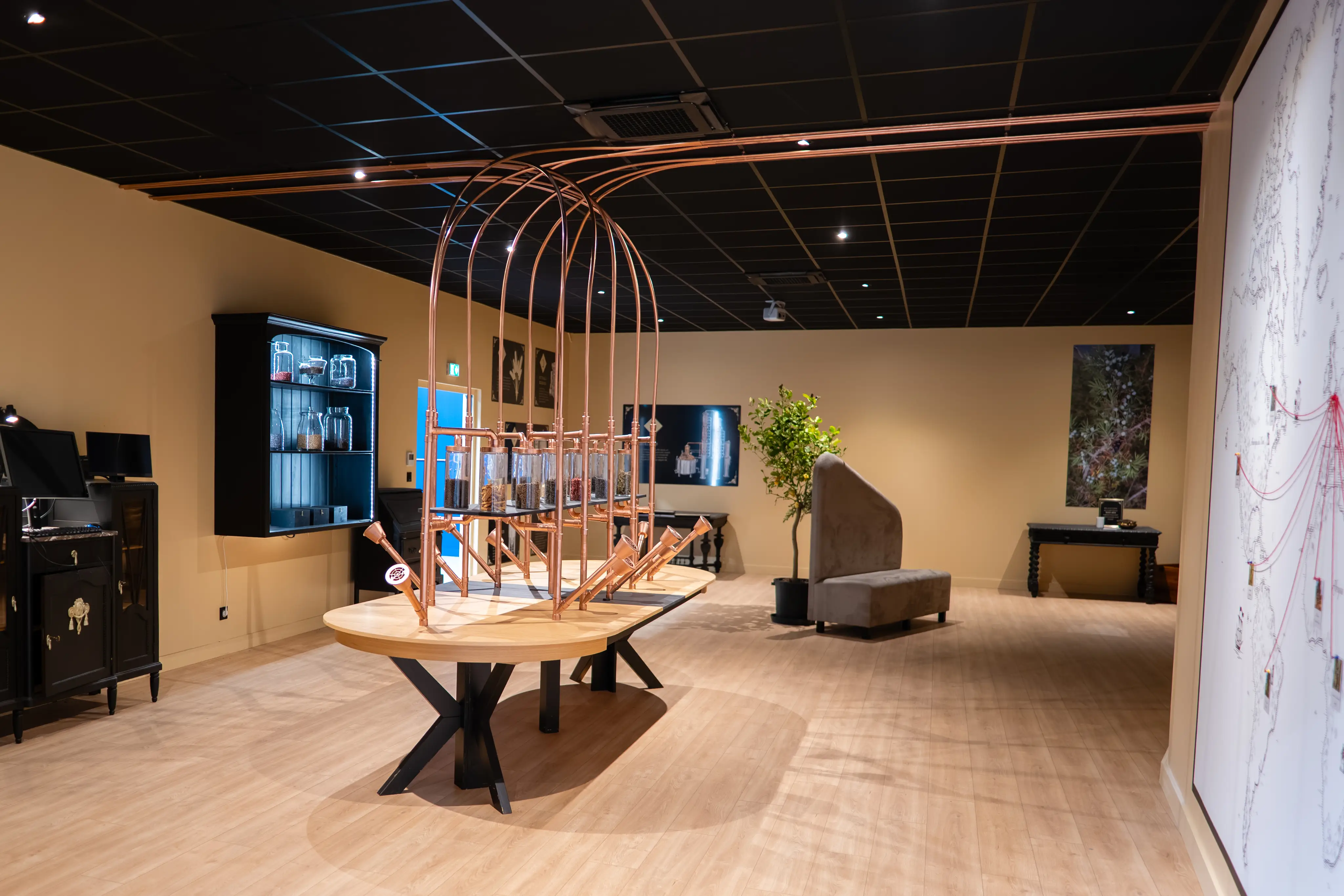 Visite immersive de notre distillerie de gin 2