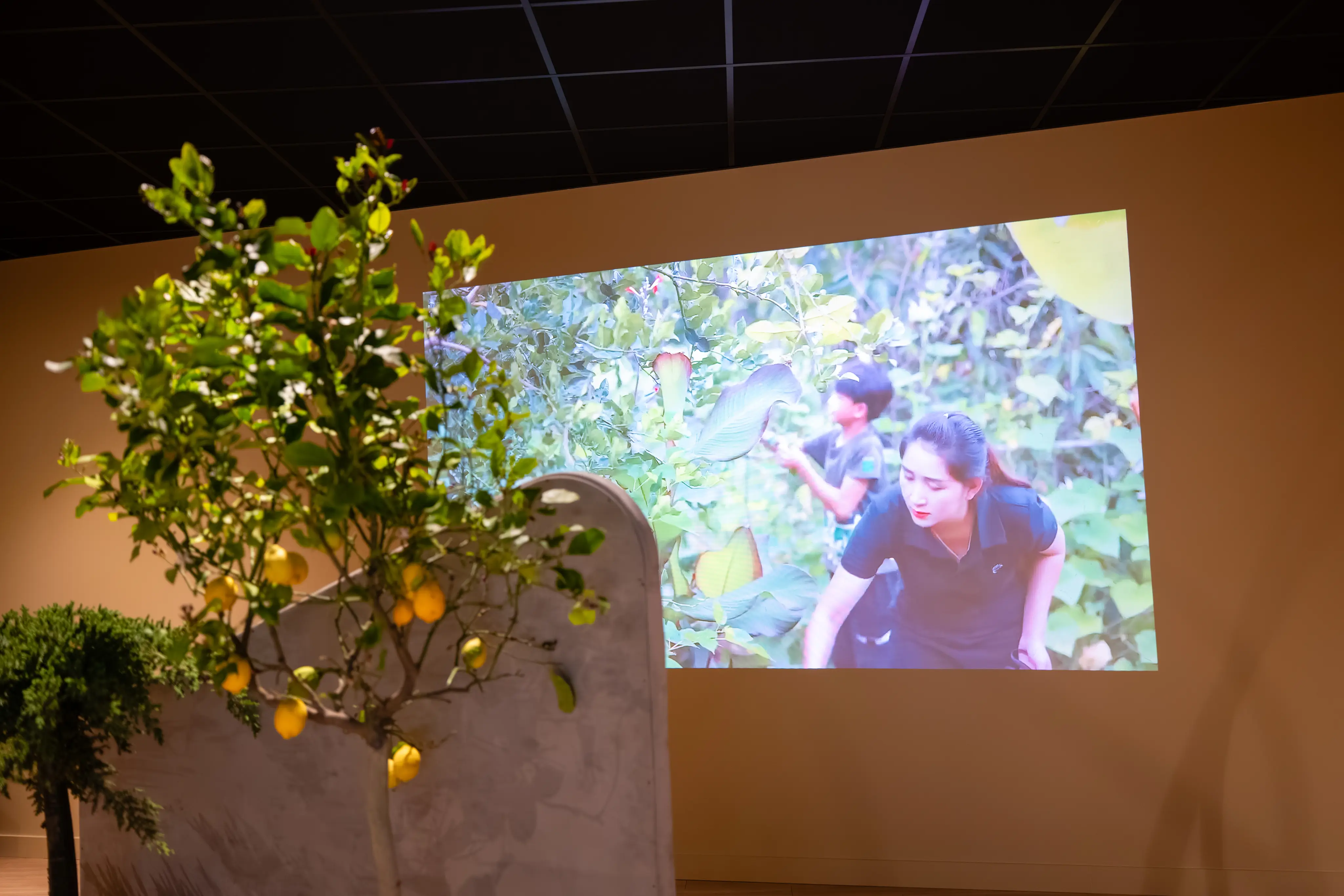 Visite immersive de notre distillerie de gin 5