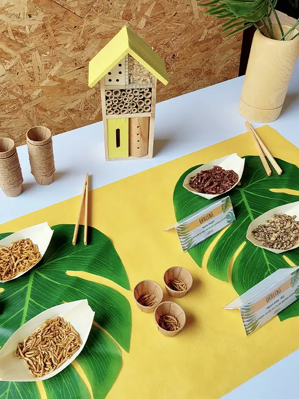 Animation Dégustation d'insectes 2