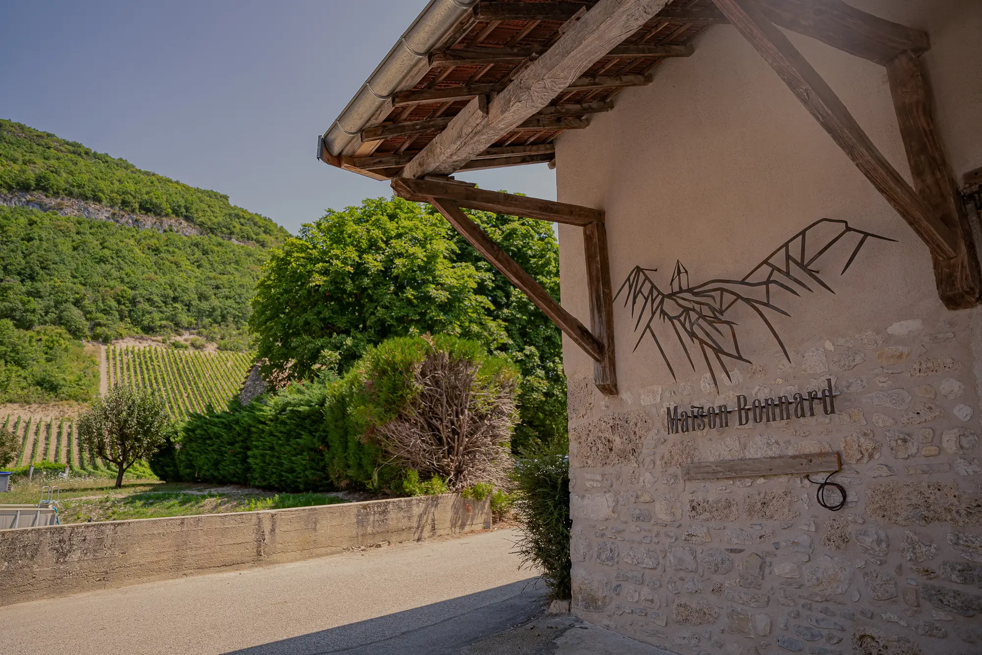 Séminaire et afterwork au milieu des vignes 7