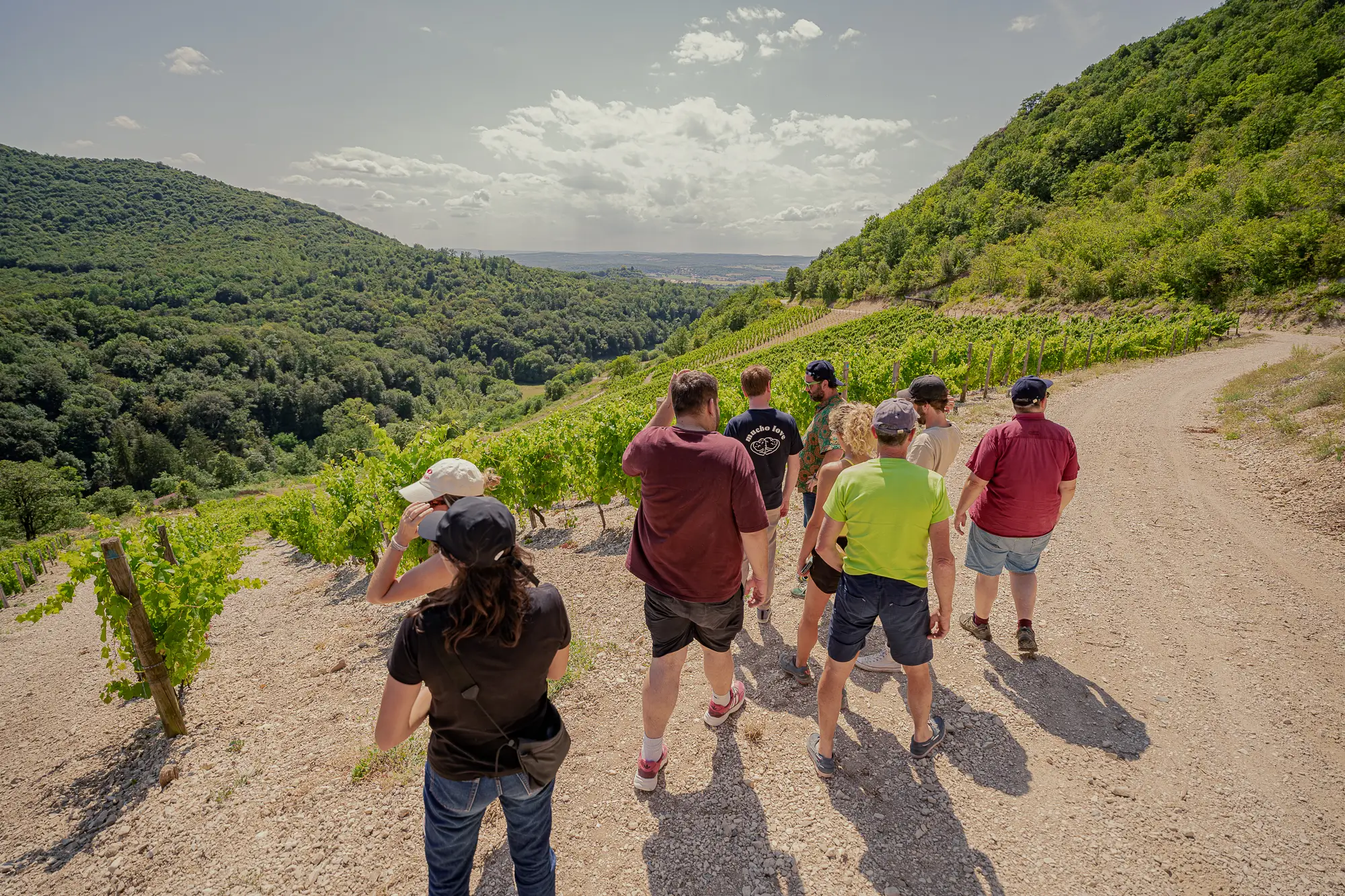 Séminaire et afterwork au milieu des vignes 10