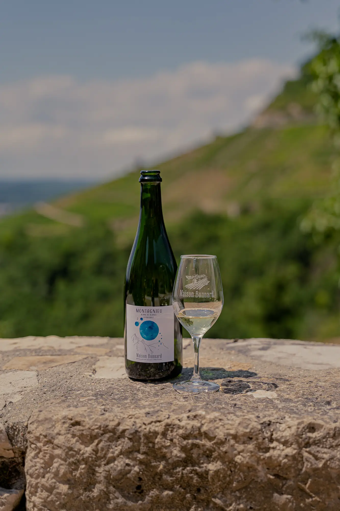 Séminaire et afterwork au milieu des vignes 8