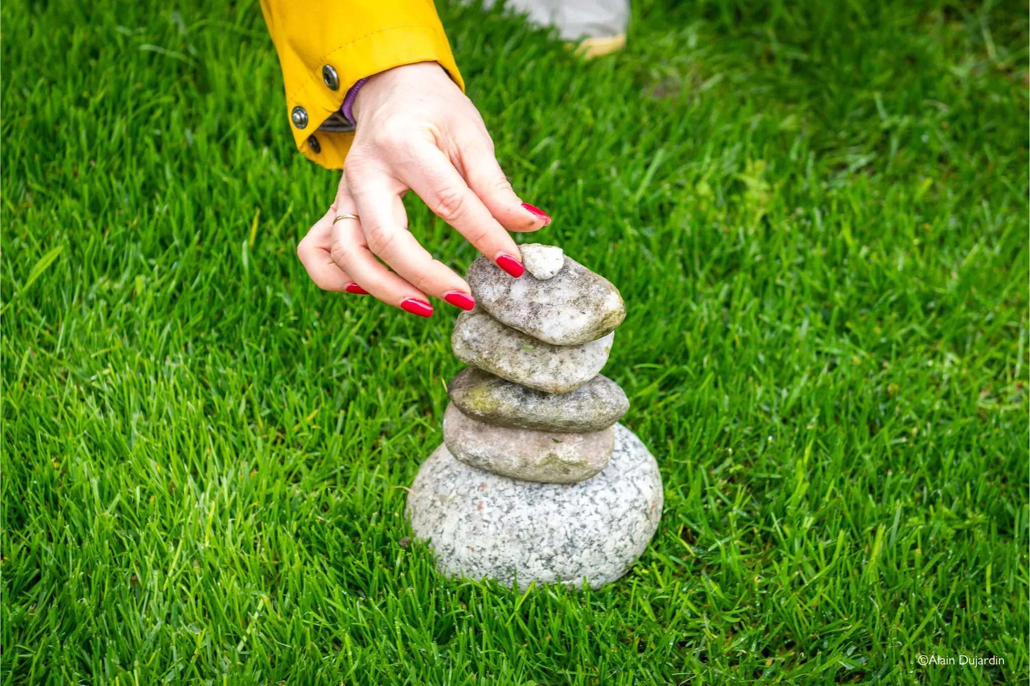 Go Green Challenge – Reconnectez vous à la nature 7