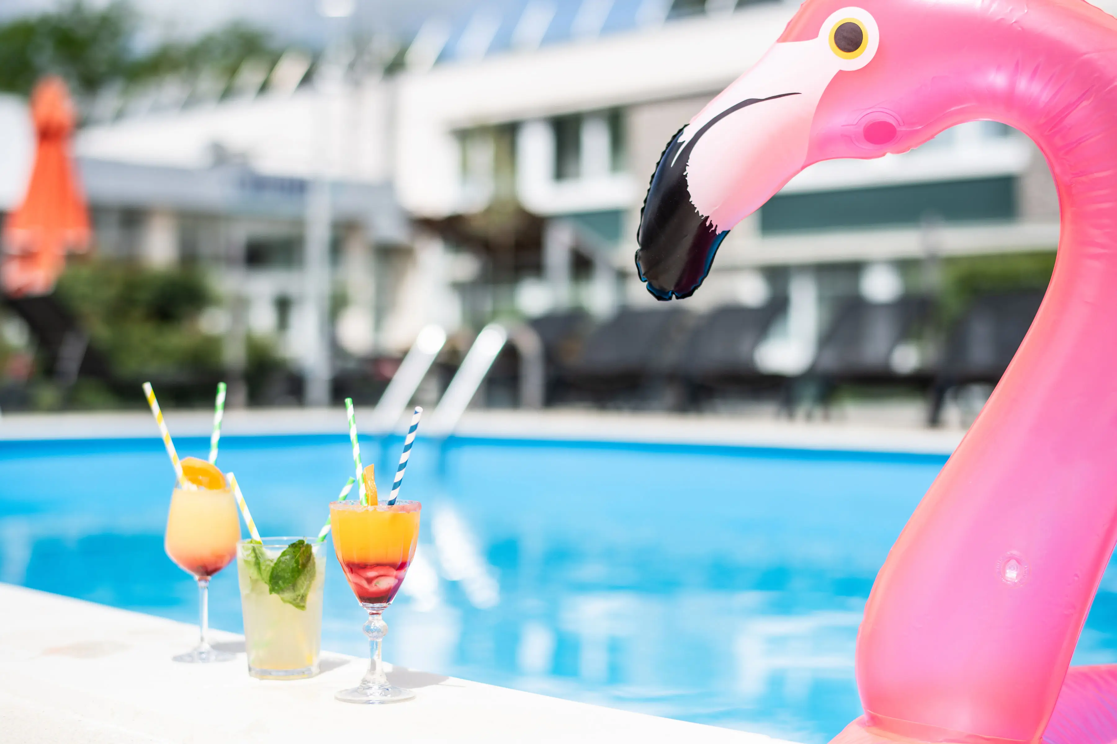Novotel Evry Courcouronnes 6