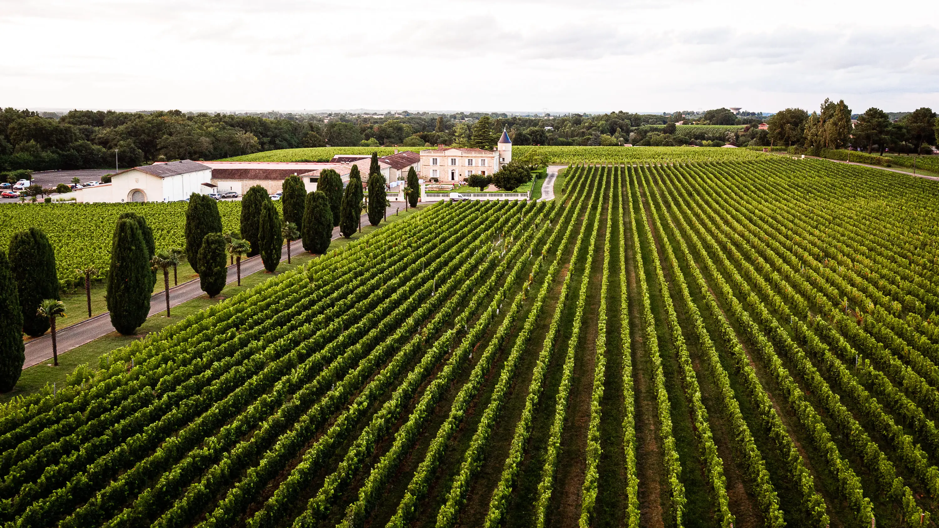 Château Lafitte 17