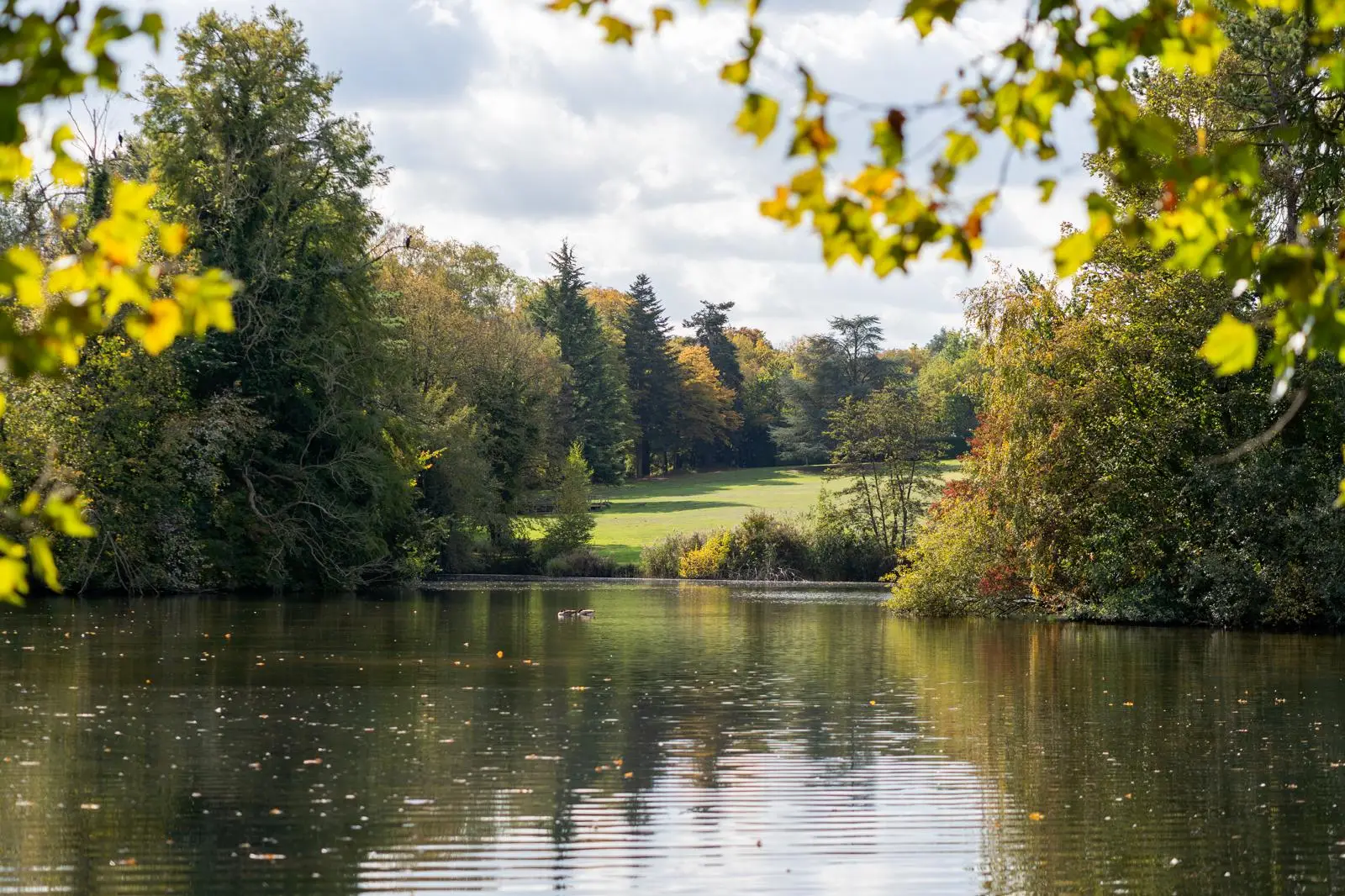 Campus Les Fontaines 12