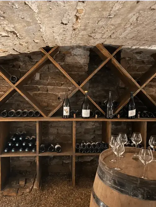 ALFRED HOTELS - Beaune*** 13