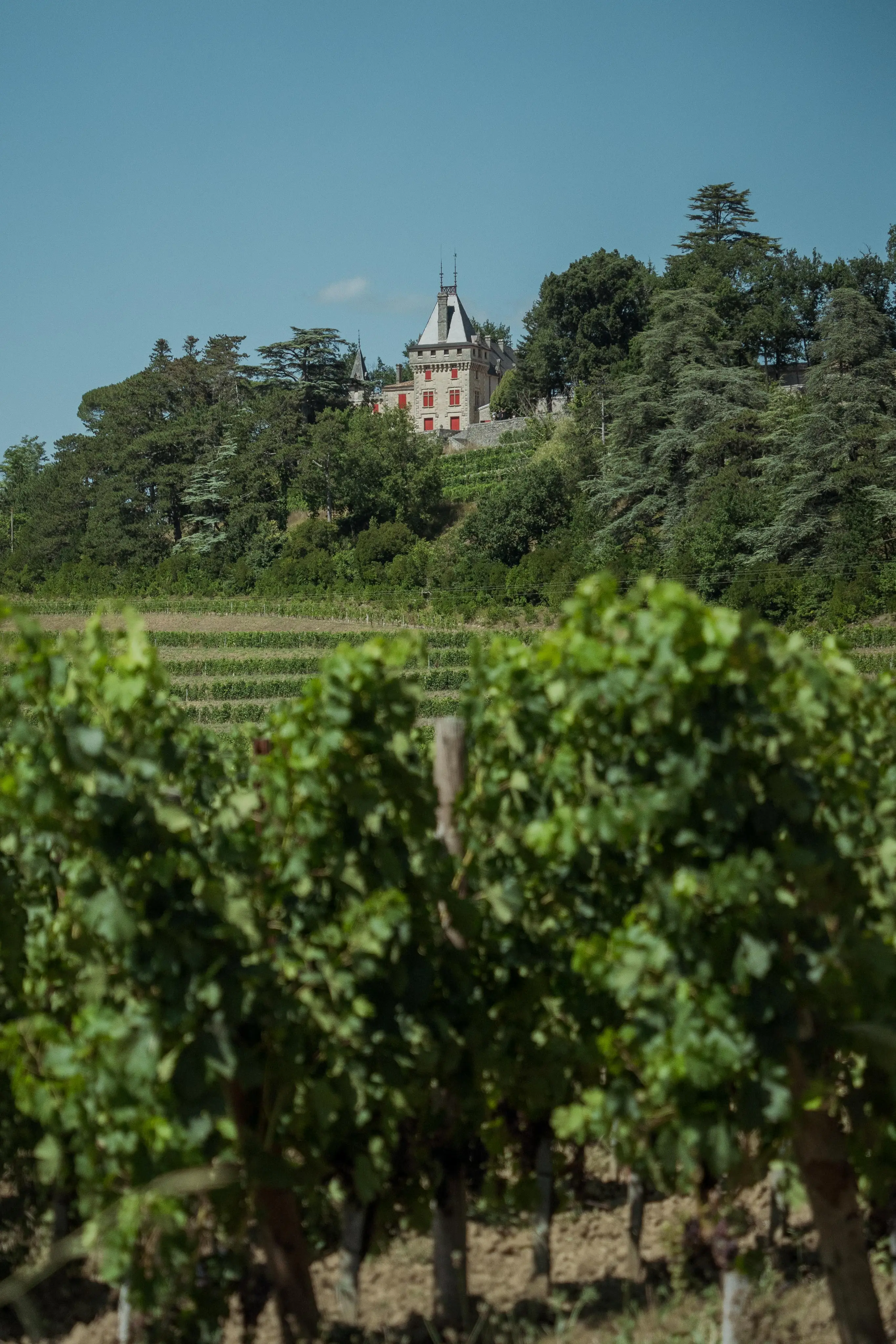 Château de Pressac. 9