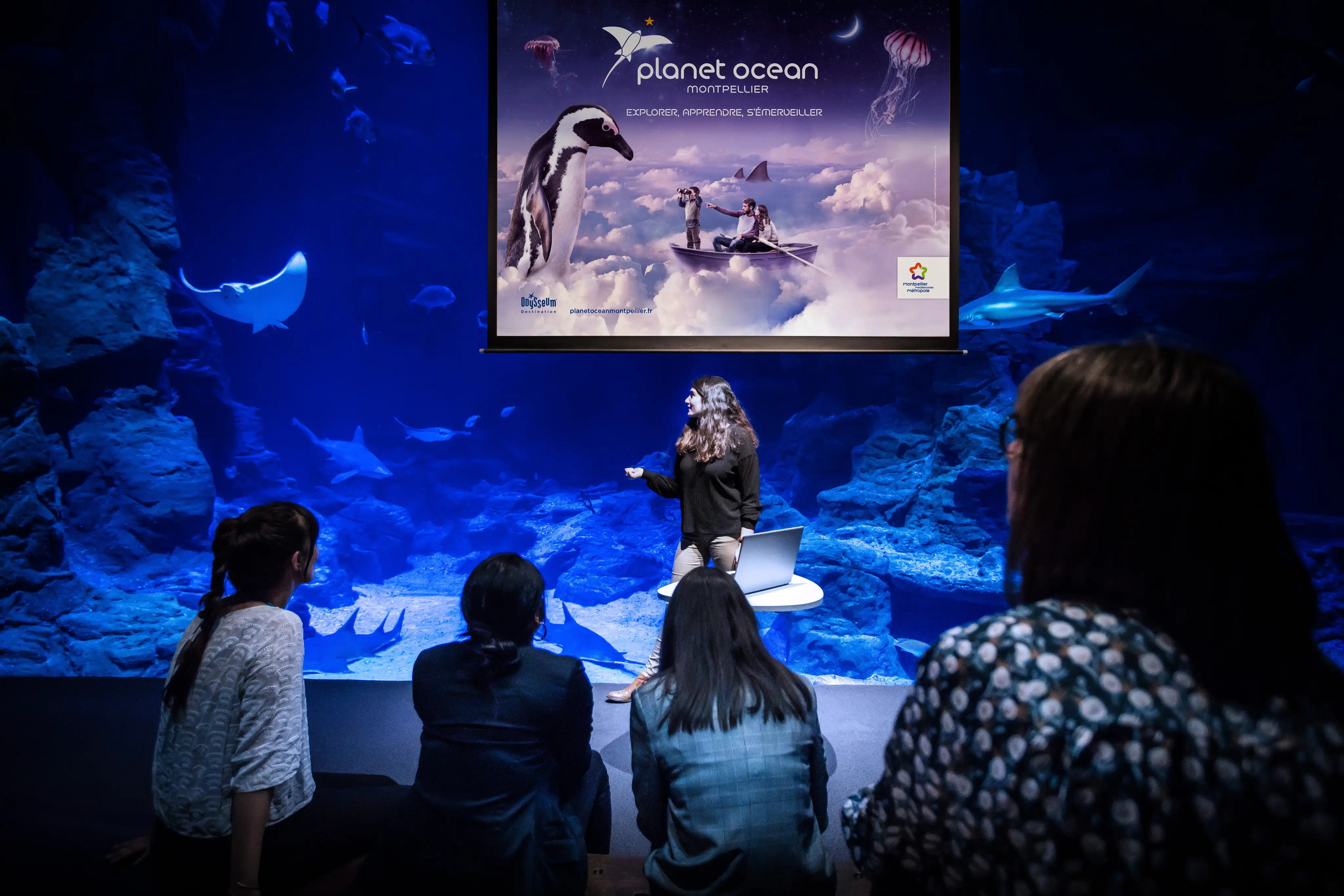 Planet Ocean Montpellier 14