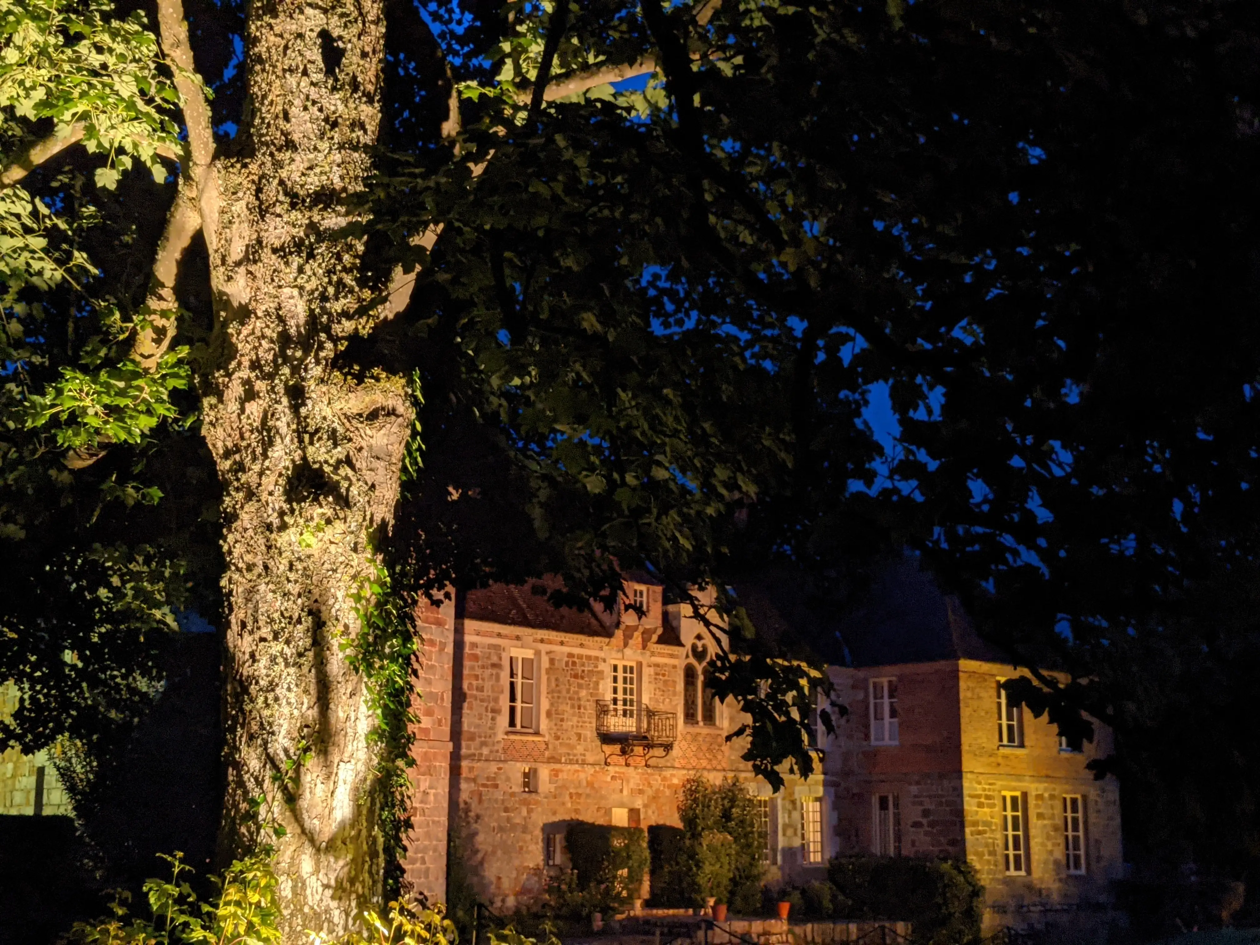 Château du Blanc Buisson 29
