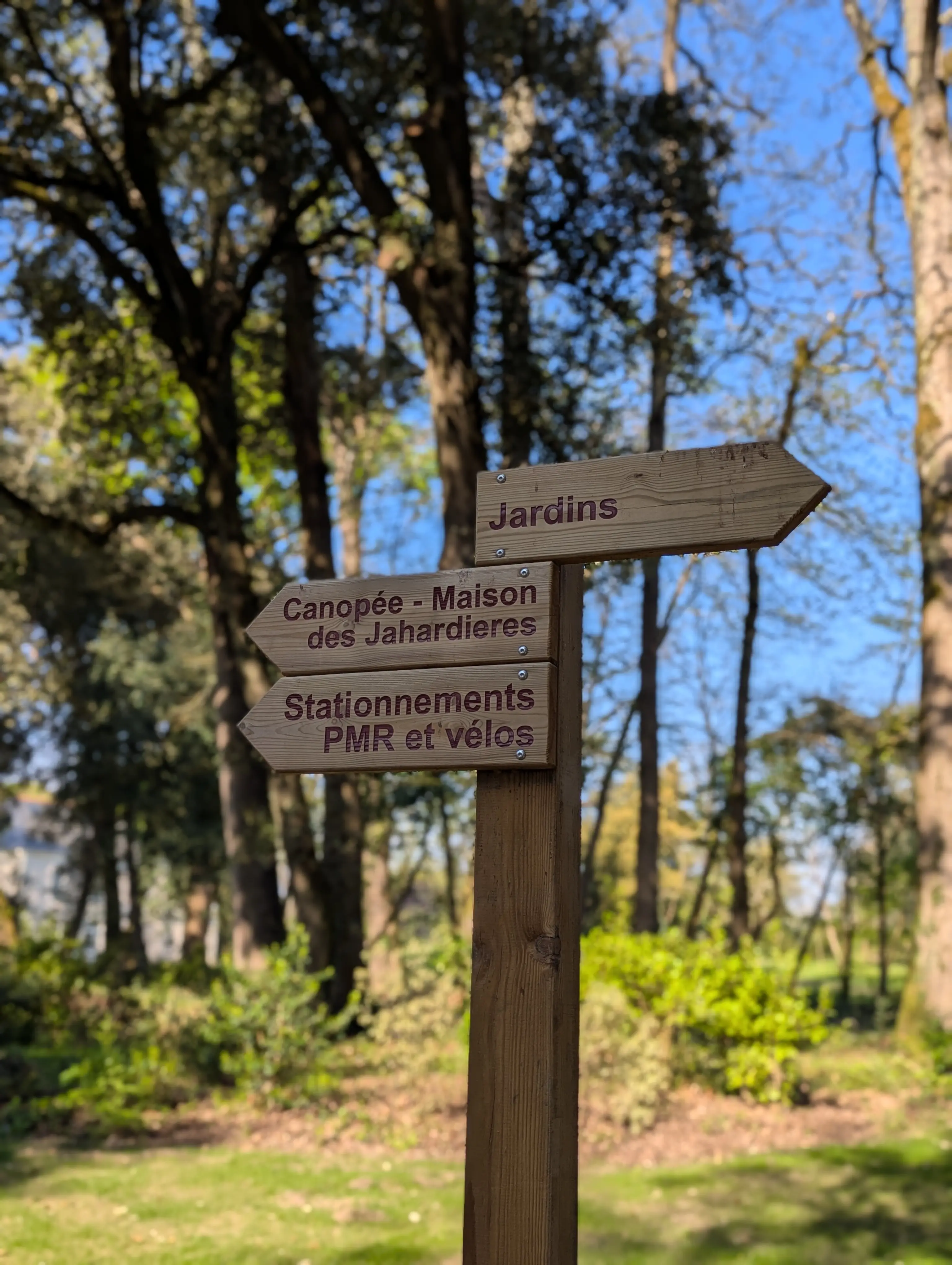 La Maison des Jahardières 8