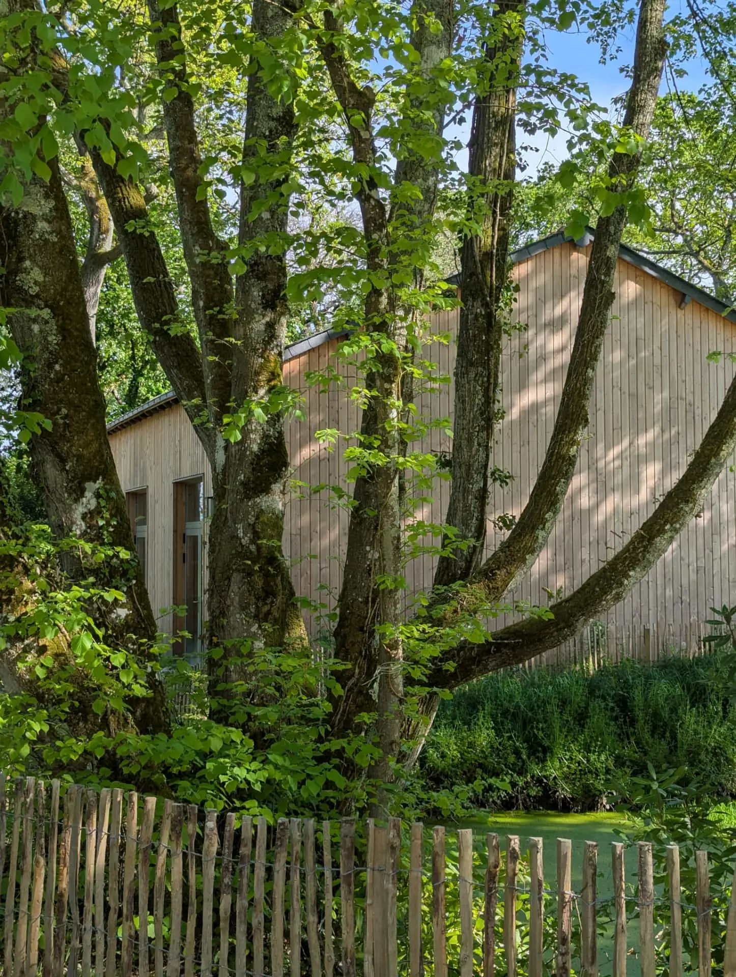 La Maison des Jahardières 18