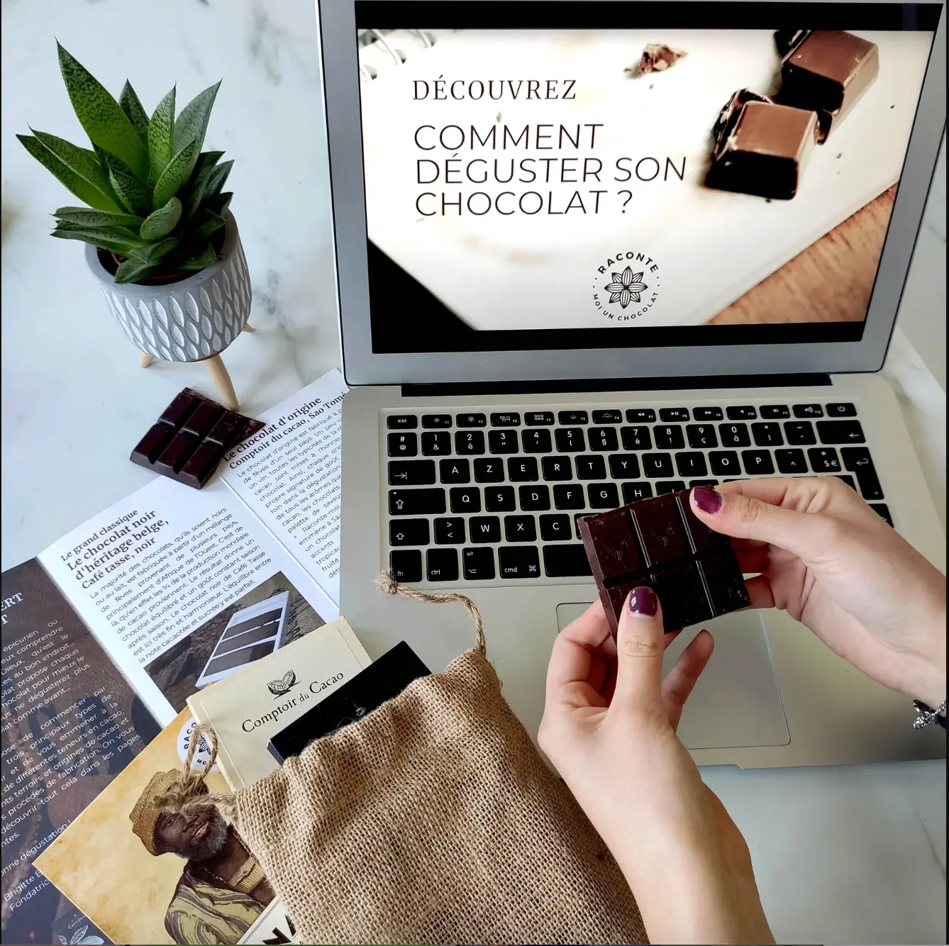 Team building : Atelier dégustation de chocolat 4