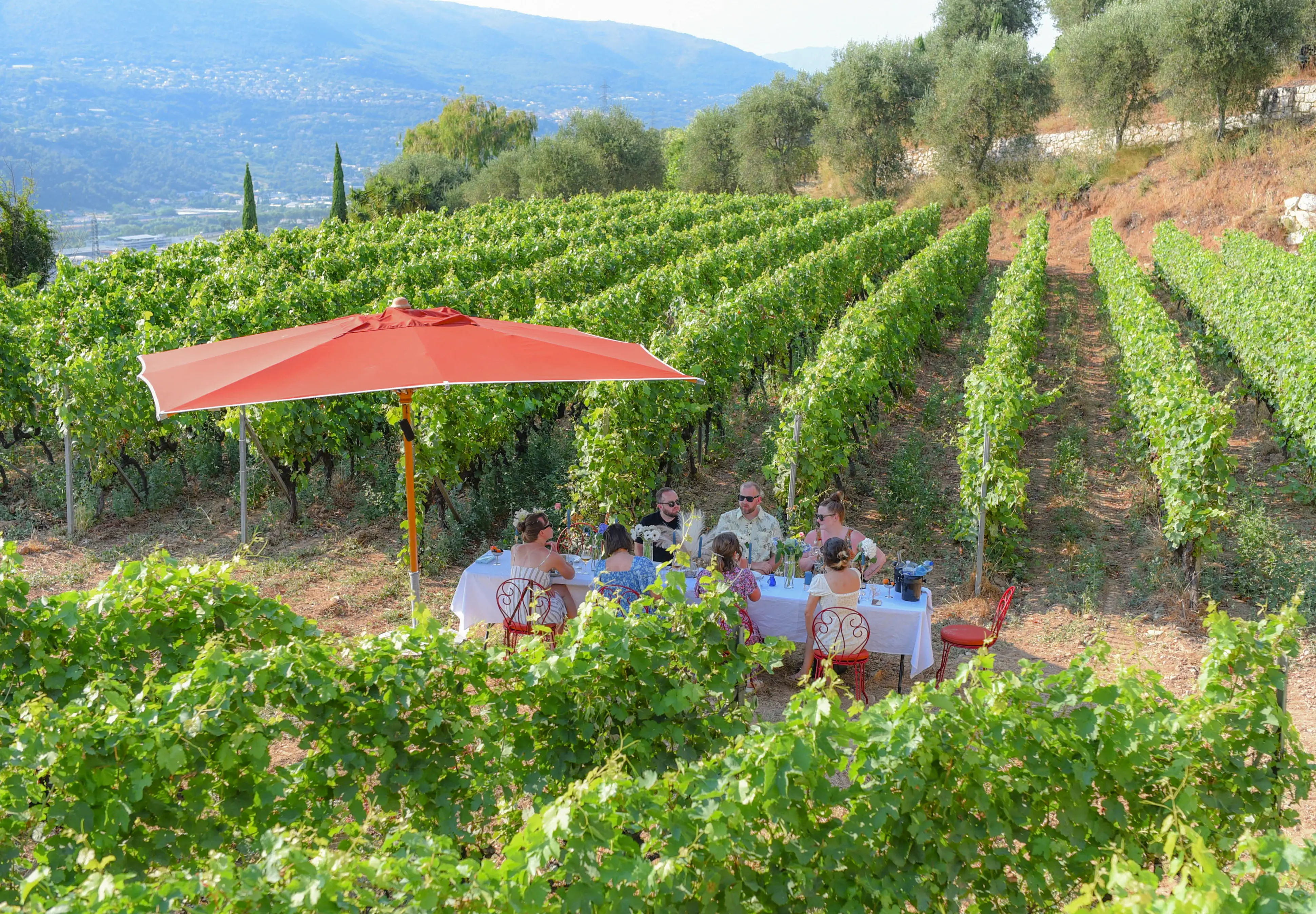 Domaine de Toasc 8
