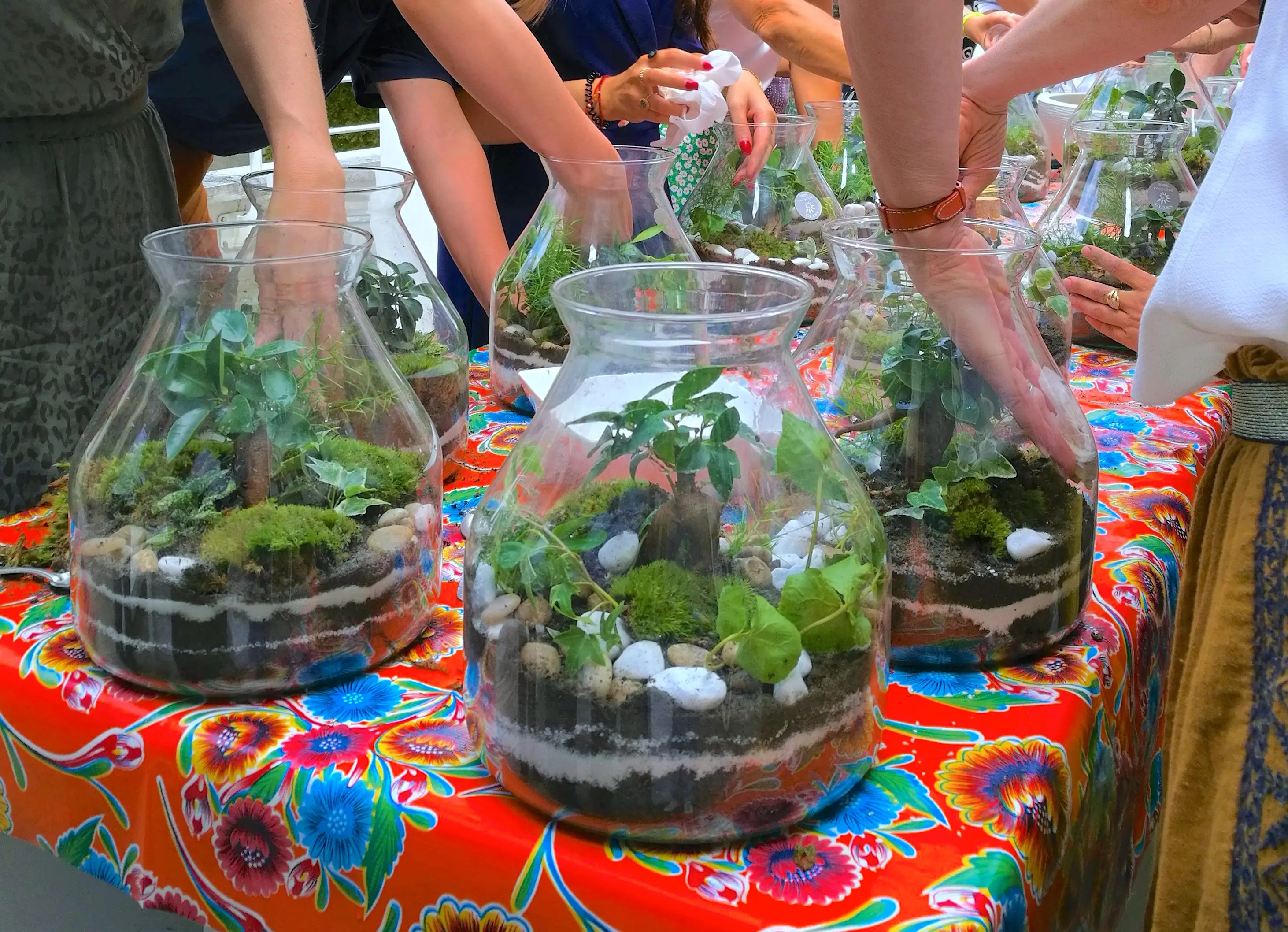 Atelier Terrarium Vivant 2