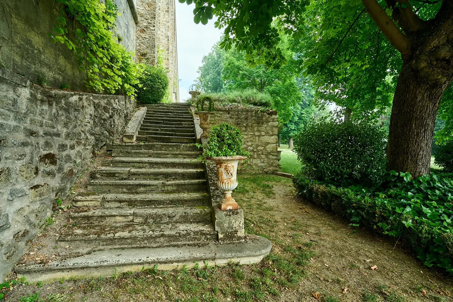 La Faisanderie d'Arcueil 7