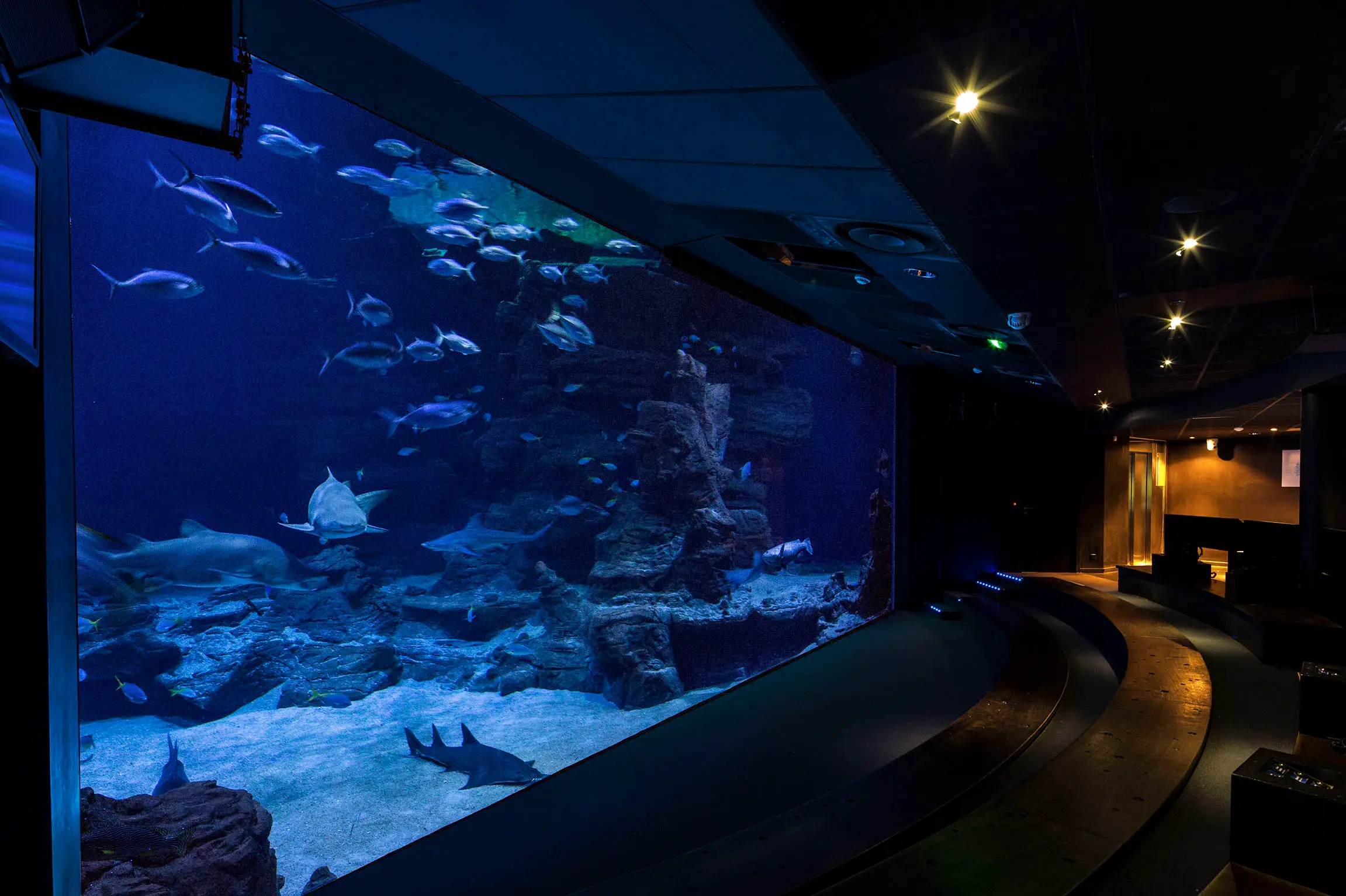 Planet Ocean Montpellier 16