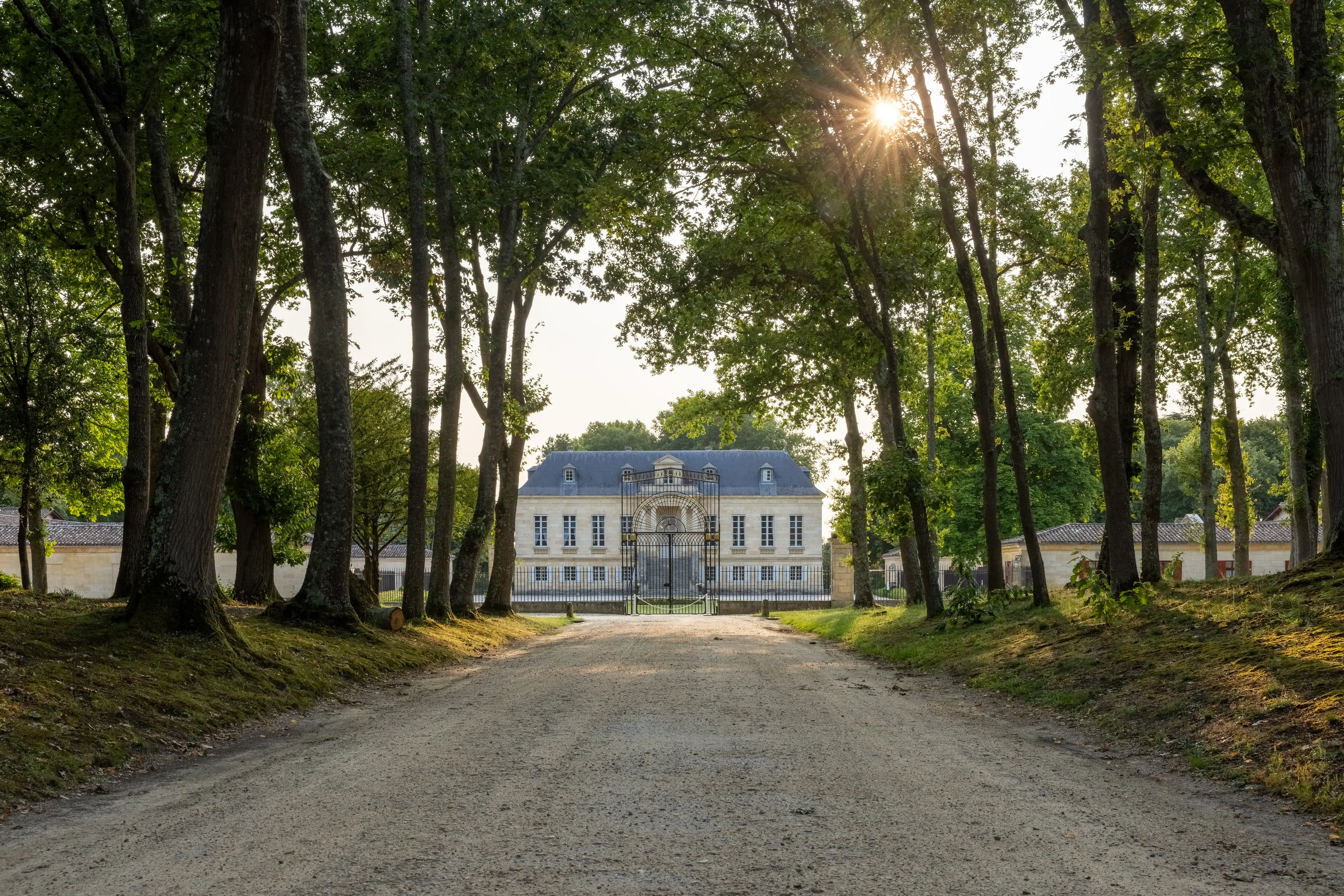 Château la Louvière 2
