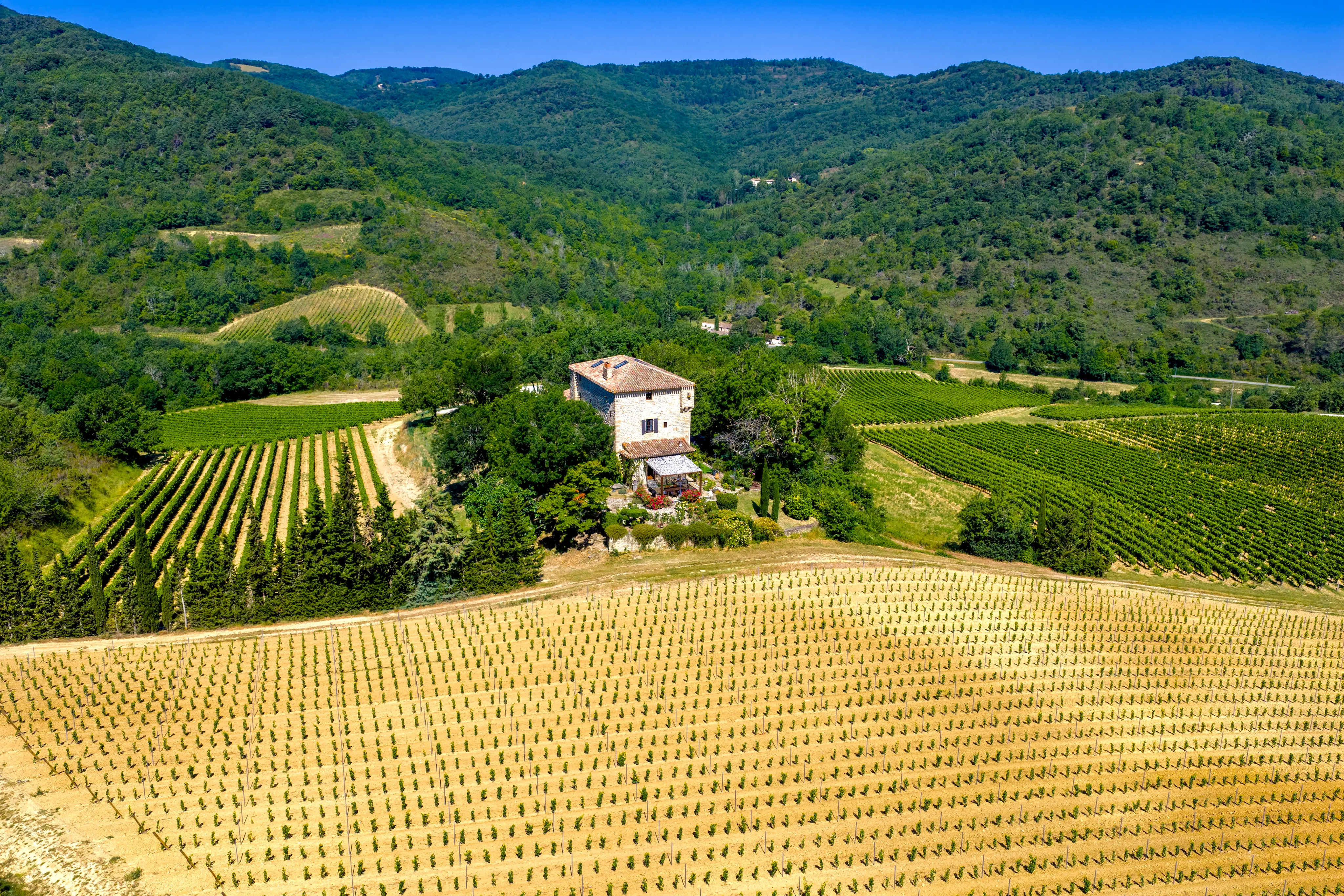 Chateau Tournou 65